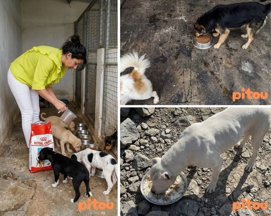 Pourquoi Nous Envoyons Des Photos Chaque Mois